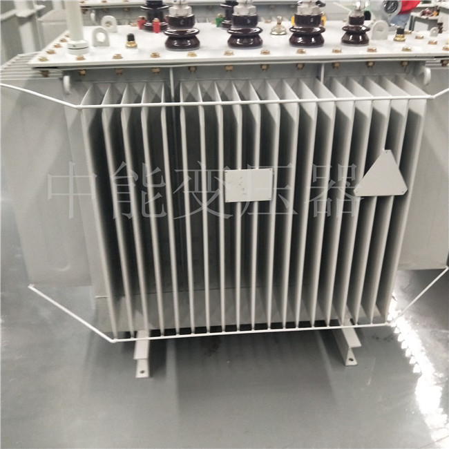 赣州S20-800KVA变压器