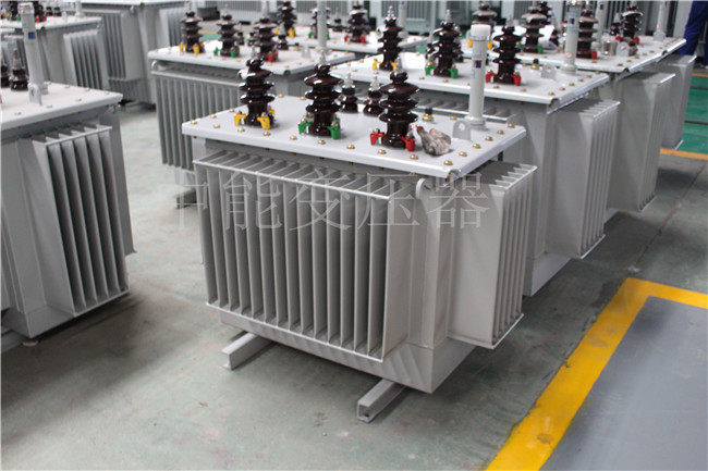 赣州S22-250KVA/10KV变压器